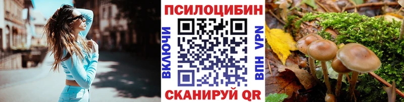 Купить  Тулун  Галлюциногенные грибы GOLDEN TEACHER 